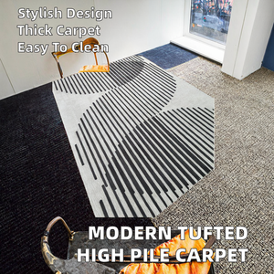 Tapis d'intérieur personnalisés de haute qualité, tapis moderne à poils longs, polyester acrylique, rayures, tapis à poils longs pour salon, pour la maison - Product Image 3