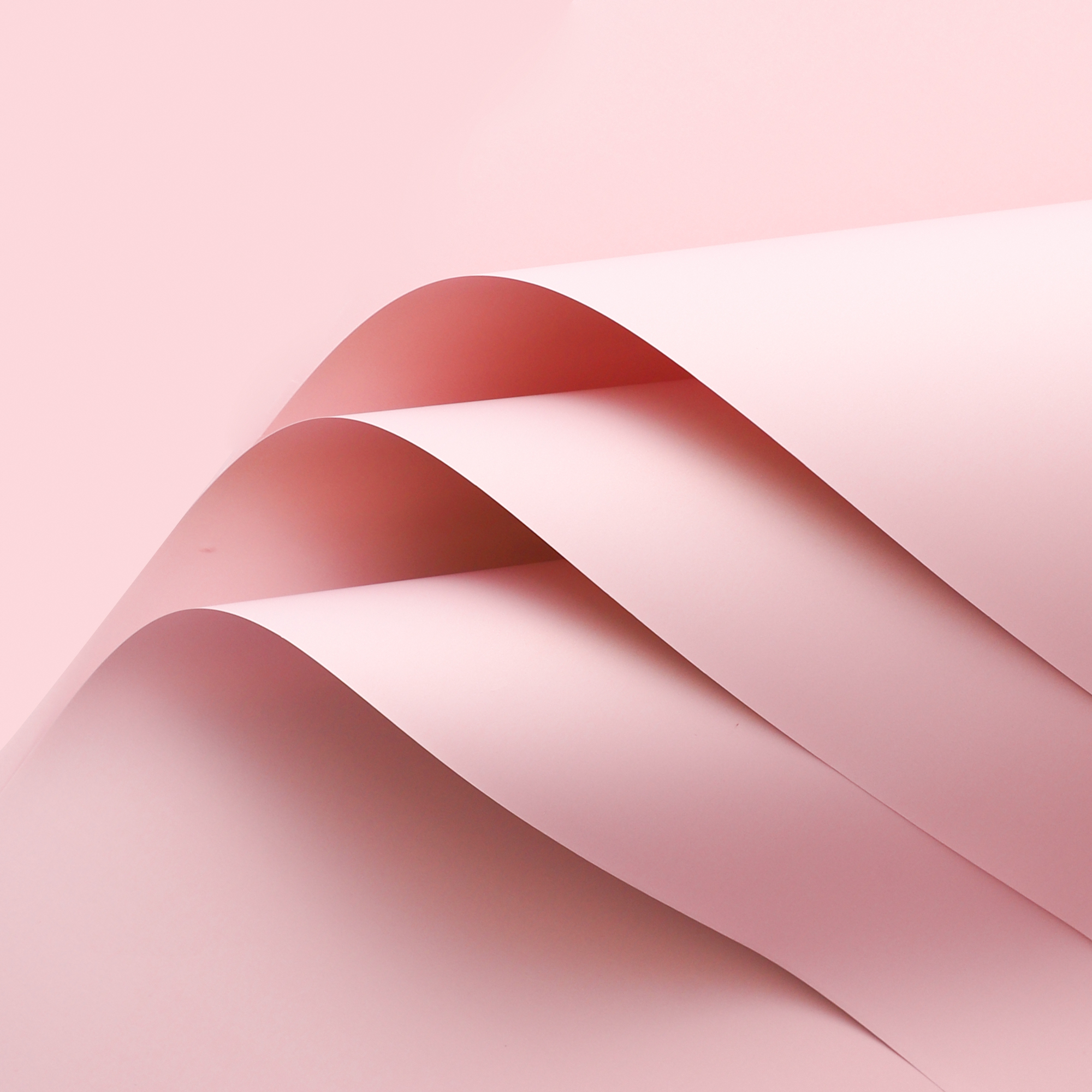 Trendy paper [elegant powder] 20 45*50cm