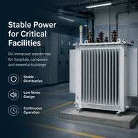 Transformador de 50 kVA con Núcleo Trifásico, Montado en Poste, Sumergido en Aceite, de Acero al Silicio, Estándar IEC60076, Voltaje Personalizado en KVA