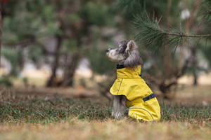 Imperméable classique simple en PU <span class=keywords><strong>pour</strong></span> chien, vêtements <span class=keywords><strong>pour</strong></span> animaux <span class=keywords><strong>de</strong></span> compagnie <span class=keywords><strong>pour</strong></span> teckel, <span class=keywords><strong>whippet</strong></span>, gris, toutes saisons - Product Image 4