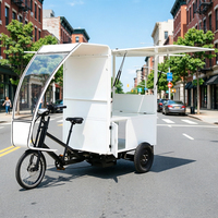 Vélo de livraison électrique à pneus larges pour semi-remorque, tricycle électrique à trois roues, trike à plateau plat, tricycle de chargement avec auvent