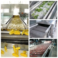 TEK Easy Clean Lifting Type Elektrische Verwarmings Blancheringsmachine Groenten Blancheringsmachine Industriële Blancheringsmachine Prijs