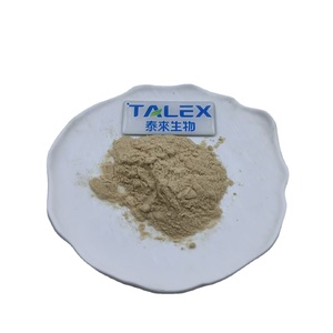 Bulk <b>Best</b> Price Carnosic Acid Rosemary Extract Carnosic Acid Powder - Product Image 1
