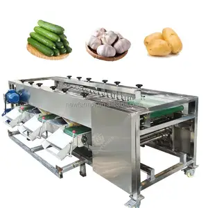 Máquina automática de clasificación de frutas para procesamiento de alimentos, clasificador de frutas con barra de rollo, clasificador de frutas