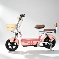 Vélo électrique 2 places 48V, scooter électrique léger pour adulte, homologué CE, vente en gros