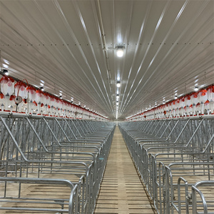 Gieo giao phối và mang thai thùng cho lợn - Product Image 5