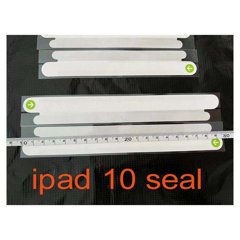 Para iPad 10