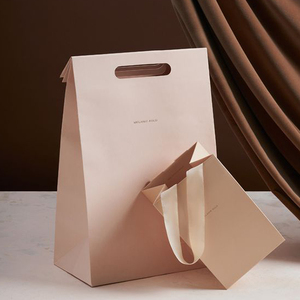 Bán Buôn Giá Rẻ Tùy Chỉnh Sang Trọng Bạc Xám Giấy Bao Bì Túi Mua Sắm Với Chuỗi Khác Nhau Xử Lý Các Loại Cho Giày - Product Image 2