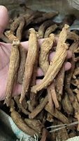 Radici Intere di Ginseng Rosso Coreano Stile Coreano, 6 Anni, Montagna Changbai, Panax Ginseng, Formato Jumbo, BITTER, 100% Naturale, 500g, 20 Pezzi