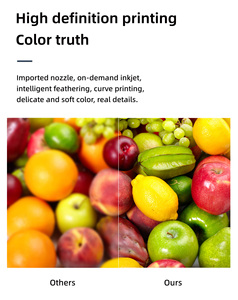 Máy in phẳng UV khổ A1 60x90cm, in trực tiếp, có tùy chọn camera CCD định vị, máy in 6090 dành cho kính, gỗ, kim loại, PVC, da, PMMA - Product Image 3