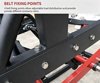 Équipement de musculation à usage commercial Rosen Fitness Hip Pit Shark Sport Machine de squat à charge réglable avec ceinture de musculation