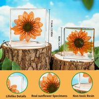 Kubus Resin Epoksi Transparan Buatan Tangan Dengan Bunga Matahari Alami yang Ditekan, Ornamen Bunga Asli yang Diawetkan, Hadiah Suvenir Botani Kustom