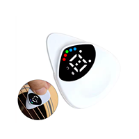 Accordeur/plectrum 2-en-1 PT-01 pour guitare avec pile CR2032 incluse