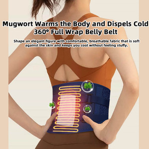 Nouveaux produits très demandés : Ceinture de massage chauffante sans fil pour soulager les douleurs dorsales, soutien lombaire, masseur chauffant pour la taille - Product Image 3