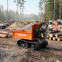 SINOLINK Mini-dumper à chenilles à essence de 175 kg, robuste et motorisé |   Brouette à chenilles facile à utiliser, garantie 1 an