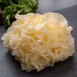 Hongo Tremella de Primera Calidad, Seco a Granel, Hongo Tremella Dorado, Tremella <span class=keywords><strong>Fuciformis</strong></span> - Product Image 1