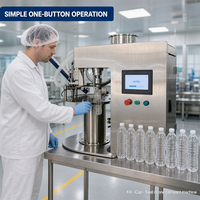 Machine de remplissage de bouteilles de petite taille, machine de remplissage automatique de bouteilles, ligne de production d'eau en bouteille de 100 ml à 500 ml, Dayilong