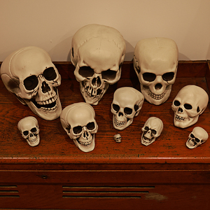 Fournitures d'Halloween, accessoires décoratifs, modèle de crâne humain artificiel, décoration effrayante pour maison hantée, crâne de squelette - Product Image 4