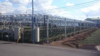 Soportes de Montaje para Paneles Solares en Terrenos Agrícolas, Estructuras de Acero Galvanizado en Caliente, Ideales para Campos Agrícolas, al Mejor Precio