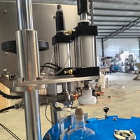 Automatische T-kurk persstopper voor gin, wijn, whisky en likeur, met vibratie-sorteringsmachine