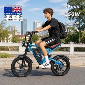 Vélo électrique pour enfants et adolescents Allemagne 24H KOOLUX X9 Mini 250W 48V 13Ah, pneus larges, 25 km/h, autonomie 80 km, VTT, certifié CE - Product Image 1