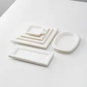 6 Inch 8 Inch 10 Inch Biodegradable Bagasse Sugarcane Pulp Square Plates Party Disposable Plates