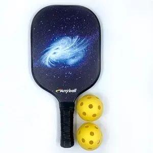 Complete Set Pickleball with Cover Bag Indoor Outdoor Racket Game Pickleball Ball and Paddles Set