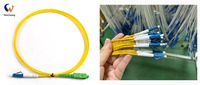 Cordon de brassage fibre optique personnalisé LC/UPC-LC/APC SM DX pour usage intérieur 10G SFP 2.0mm 3.0mm SC/LC/FC 2 fibres PVC LSZH FTTH/FTTB/FTTX