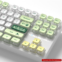 Keycaps transparents sur quatre côtés à thème Flora CBSA, keycaps PBT, sublimation par transfert de colorant pour clavier mécanique Mx Switch 61/64/68/104/108