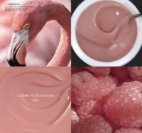 Gel UV Soak-off TPO Hema Free avec Logo Personnalisé, Gel Laque Acrylique Effet Gelée, Vente en Gros Usine, Gel Constructeur 15g à Séchage Rapide pour Extension des Ongles