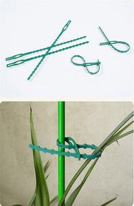 Pince fixe autobloquant pour plantes grimpantes, attache de câble, fil de liaison, tige de fleur et de légume, <span class=keywords><strong>fixation</strong></span> de Support - Product Image 4
