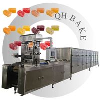 Fruit- en groentemix gummy machine gummy productielijn hoge kwaliteit capaciteit fabrieksprijs