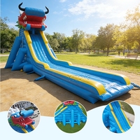 Toboggan aquatique gonflable d'extérieur pour adultes et enfants, prix usine, pour aire de jeux aquatique