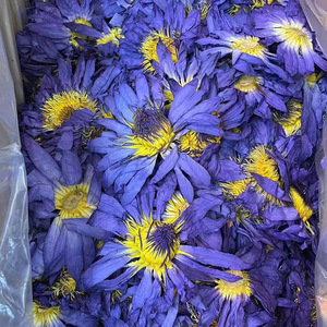 Fiori di Loto Blu Essiccati Naturali all'Ingrosso, Boccioli di Loto Blu Essiccati Interi per Tisane - Product Image 1