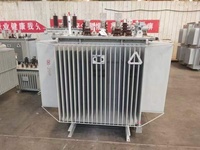 Transformateur de distribution d'huile extérieur triphasé 50 kVA 100 kVA 200 kVA 160 kVA 500 kVA 750 kVA 1000 kVA 11 kV 15 kV 20 kV 33 kV