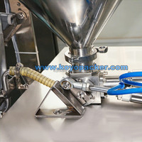 Laikyl60b — machine multifonction, pour remplissage automatique de vinaigre, sauce de soja et de poisson, pâte à crevettes, chronomh, lait du sud, remplisseuse en sachet fermenté