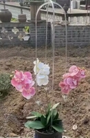 Support de plante en acrylique transparent en forme de U pour plantes grimpantes, vigne, lierre, treillis pour plantes en pot, intérieur et extérieur