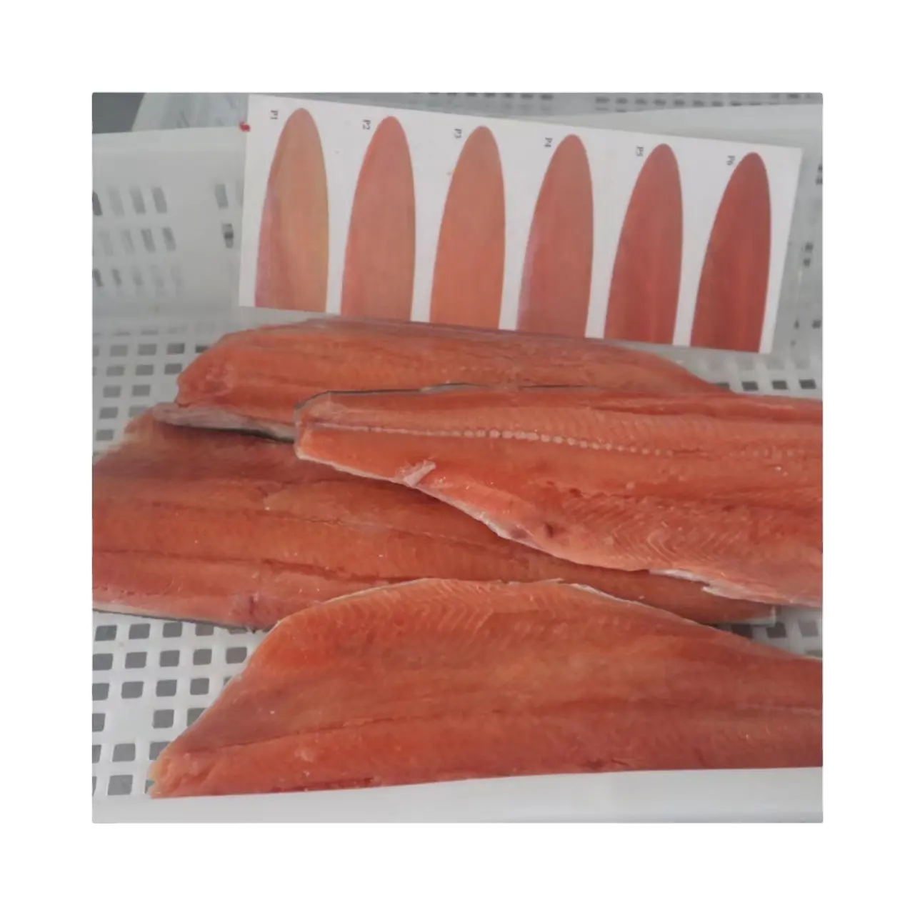 Filete de salmón Rosa congelado Global Seafood Filete de salmón rosa de alta calidad del proveedor de China