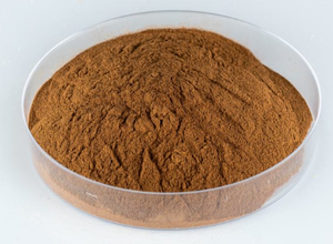 홍다 하이 퀄리티 푸코이단 푸코산틴 90% 분말 무료 샘플 인증 천연 방광 추출물 - Product Image 2