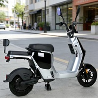 Sepeda Listrik Dewasa 48V 1000W Motor Hub Tanpa Sikat Baterai Asam Timbal 15AH Layar Digital Elektronik Pedal Bantu Kecepatan Maksimum