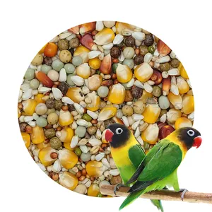 Семена фруктов микс еда для средних попугаев