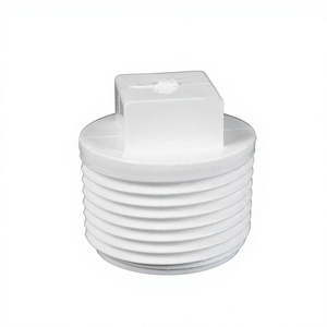 Bouchon mâle fileté hexagonal en <span class=keywords><strong>PPR</strong></span> PVC PN25 20mm 25mm 1 2 3 4 pouces, raccord de tuyauterie à souder pour l'alimentation en eau - Product Image 4
