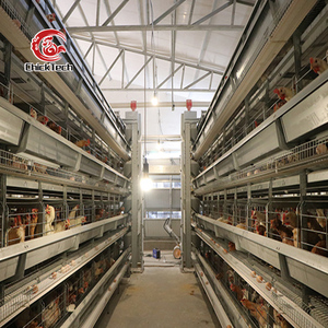 Nouvelle cage à poules automatique à installation facile, <span class=keywords><strong>type</strong></span> batterie, en acier galvanisé à chaud, durée de vie supérieure à 18 ans, pour l'élevage - Product Image 3