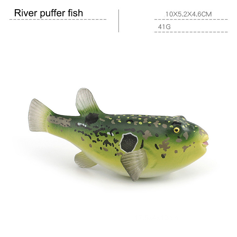 River puffer fish