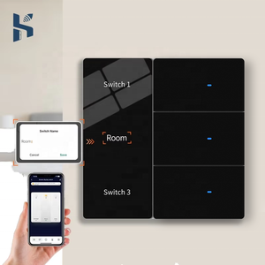 Home Wall Switch EU UK Standard DIY Name Tuya WiFi Smart Life APP Control Alexa Google Voice Control Switch 10A Max