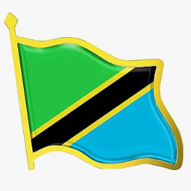 Ensembles de produits de la fête nationale <span class=keywords><strong>en</strong></span> gros pays porte-clés <span class=keywords><strong>en</strong></span> métal collier à épingles drapeaux nationaux de la <span class=keywords><strong>Tanzanie</strong></span> - Product Image 3