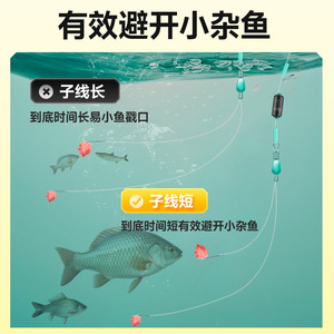 Strong Sharp Fishing Hooks No 2.5 Double Hook Leader Line Black Pit Crucian Carp Competition Hooks River Use - Product Image 4