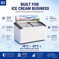 Congelador/Refrigerador Vitrina Exhibidora de Helados y Gelatos con Tapa de Cristal Personalizada, de Una Sola Temperatura, Económico y de Gran Venta