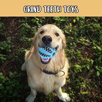 Balle à friandises 2-en-1 pour chiens et chats, jouet interactif en caoutchouc à mâcher, écologique, durable, pour le nettoyage des dents, mangeoire lente pour l'extérieur