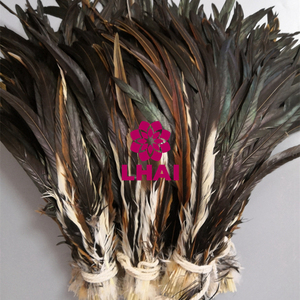 Plumes de queue de coq naturelles demi-bronzées de 30-35 cm en gros pour la fabrication de mouches de pêche <span class=keywords><strong>et</strong></span> les décorations de costumes de carnaval du Mardi Gras - Product Image 6
